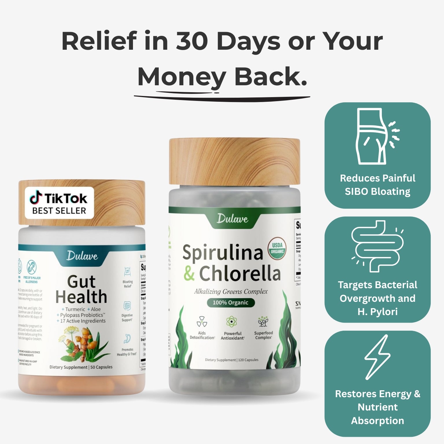 Gut Glow: The Protocol For Your Gut's Hidden Enemy 2 (Copy)